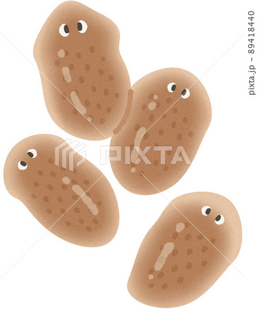 分裂したプラナリア 89418440