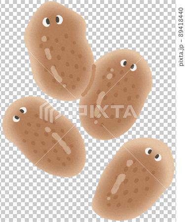 分裂したプラナリア 89418440