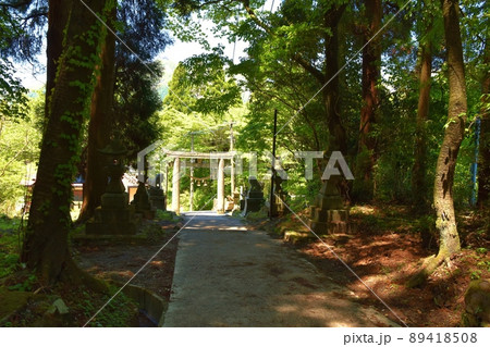 春の上色見熊野座神社 熊本 春の上色見熊野座神社 熊本 89418508