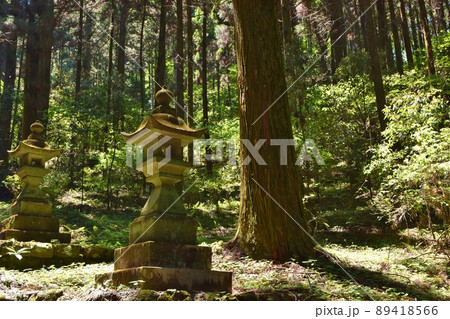 春の上色見熊野座神社の灯篭 熊本 春の上色見熊野座神社の灯篭 熊本 89418566