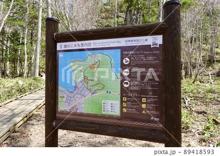 阿寒湖　森のこみちの湖畔の風景　地図標識あり　北海道　道東 89418593