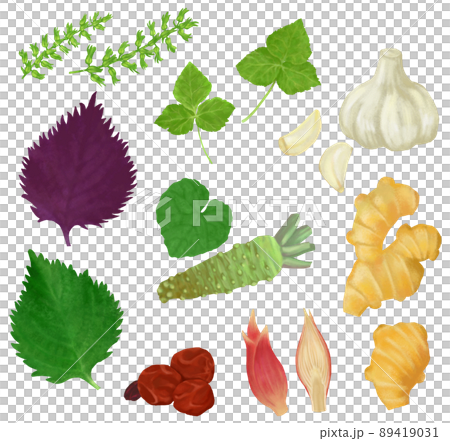 手描き　薬味いろいろセット 89419031