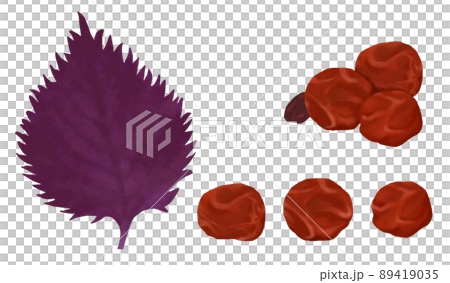 手繪酸梅插畫 89419035