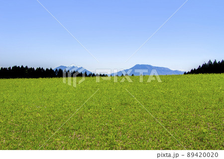 大観峰と阿蘇山 89420020