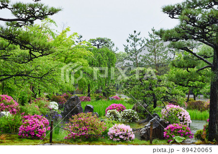京都 雨の三十三間堂の美しい庭園 京都 雨の三十三間堂の美しい庭園 89420065