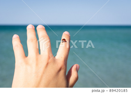 Ladybug on the finger by the sea. The concept of rest, vacation, enjoyment of nature. Front view. 89420185
