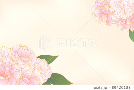 春の花 植物 薄いピンクグラデーションの八重桜 牡丹桜 のフレーム 水彩背景のイラスト素材 41