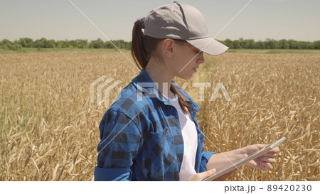 young girl works tablet countryside. concept growing golden wheat field. farming. young woman farmer work with tablet analyzes harvest. agriculture concept. cultivation cereal crops. industry 89420230