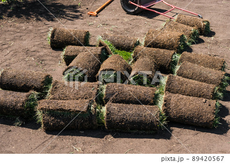 Rolls of lawn grass on sunny day - country house and landscape design Rolls of lawn grass on sunny day - country house and landscape design 89420567