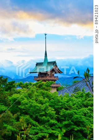 京都の銅閣寺 大雲院 祇園閣 京都の銅閣寺 大雲院 祇園閣 89421023