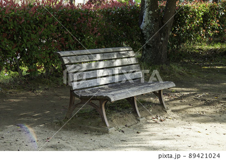 木洩れ日のあたる公園のベンチ 木洩れ日のあたる公園のベンチ 89421024
