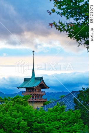 京都の銅閣寺 大雲院 祇園閣 京都の銅閣寺 大雲院 祇園閣 89421075