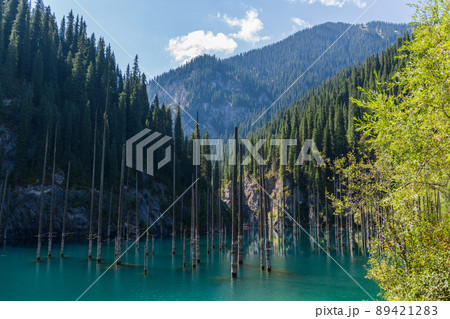 Kaindy lake - mountain lake in Kazakhstan 89421283