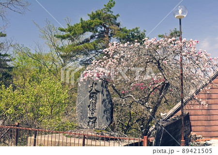 長野・杖突峠 89421505