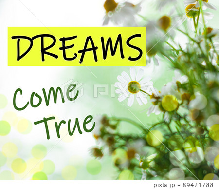 Dreams Come True text sign. Blooming camomiles with green leaves. Blurred bokeh lights flowers background Dreams Come True text sign. Blooming camomiles with green leaves. Blurred bokeh lights flowers background 89421788