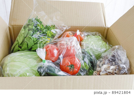 箱いっぱいの新鮮野菜 箱いっぱいの新鮮野菜 89421804