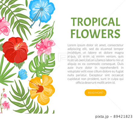 Tropical Flowers and Foliage Web Page Design with Fern and Hibiscus Vector Template 89421823