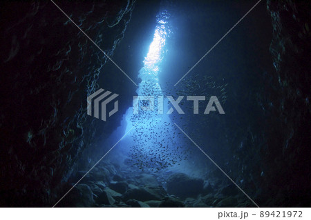 青の洞窟 89421972