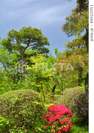 日本100名城・高遠城 日本100名城・高遠城 89422051