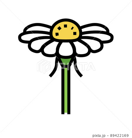 chamomile flower bud color icon vector illustration chamomile flower bud color icon vector illustration 89422169