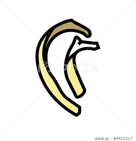rib bone color icon vector illustration rib bone color icon vector illustration 89422317