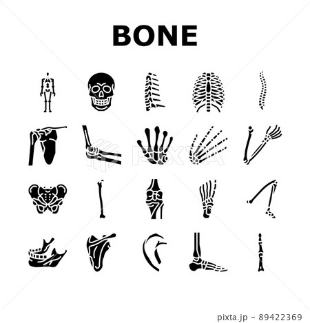 Bone Human Skeleton Structure Icons Set Vector 89422369