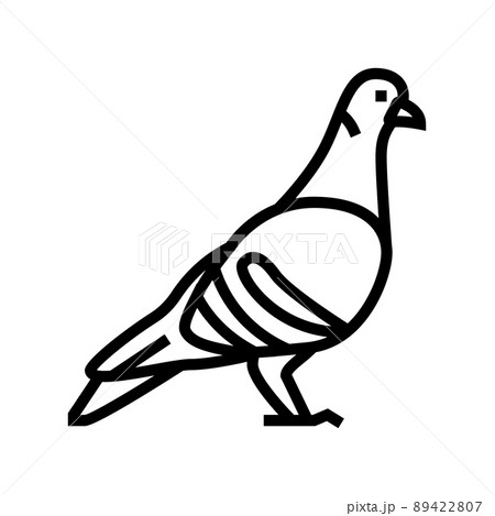 pigeon bird line icon vector illustration 89422807