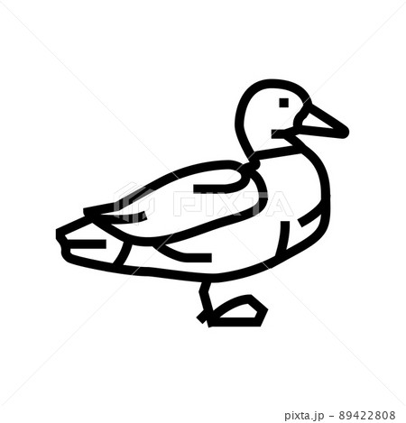 duck bird line icon vector illustration 89422808