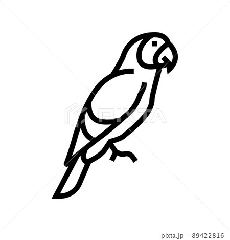 parrot tropical bird line icon vector illustration 89422816