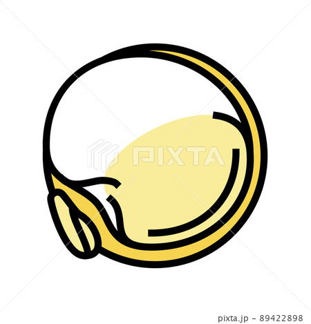 quinoa seed color icon vector illustration 89422898