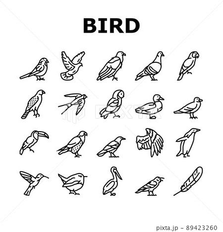 Bird Flying Animal With Feather Icons Set Vector Bird Flying Animal With Feather Icons Set Vector 89423260
