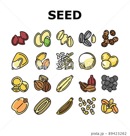 Seed Plant Agriculture Culture Icons Set Vector 89423262