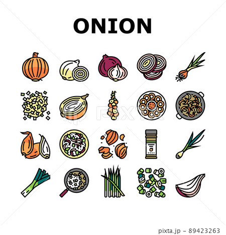 Onion Fresh Vitamin Vegetable Icons Set Vector 89423263