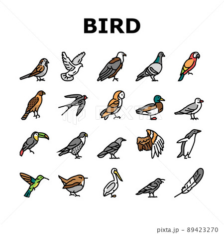 Bird Flying Animal With Feather Icons Set Vector 89423270