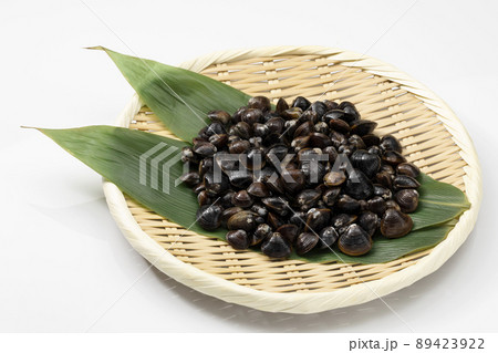 白バックのざるに盛ったしじみ 白バックのざるに盛ったしじみ 89423922