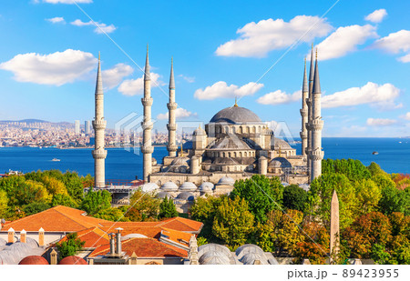 Istanbul roofs by The Blue Mosque or Sultan Ahmet Mosque, Bosphorus, Turkey 89423955