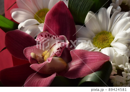 Group of purple vanda orchid and white Chrysanthemums flower background Group of purple vanda orchid and white Chrysanthemums flower background 89424581