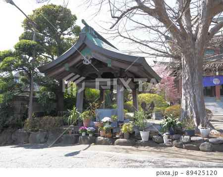 東京大仏 乗蓮寺 板橋区赤塚 東京大仏 乗蓮寺 板橋区赤塚 89425120