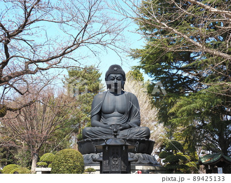 東京大仏 乗蓮寺 板橋区赤塚 東京大仏 乗蓮寺 板橋区赤塚 89425133