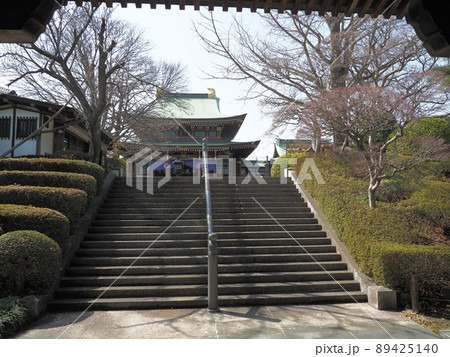 東京大仏 乗蓮寺 板橋区赤塚 東京大仏 乗蓮寺 板橋区赤塚 89425140