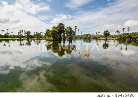 Lake on Sri Lanka 89425430