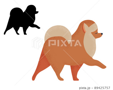 Pomeranian Spitz Dog Breed in Cartoon and Outline Pomeranian Spitz Dog Breed in Cartoon and Outline 89425757