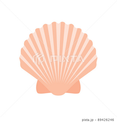 sea shell isolated on white background vector sea shell isolated on white background vector 89426246