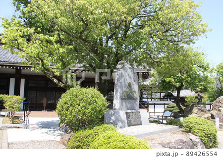 京都大谷本廟の春 89426554