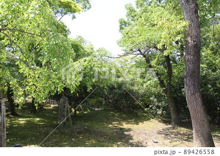 京都大谷本廟の春 京都大谷本廟の春 89426558
