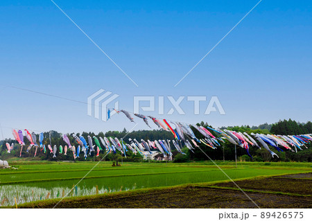 宮崎　石井十次　友愛社　鯉のぼり 89426575