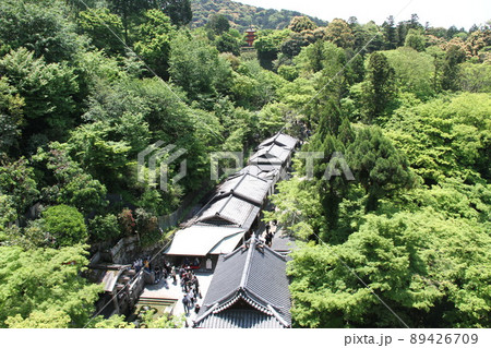 若葉薫る京都音羽山清水寺 若葉薫る京都音羽山清水寺 89426709