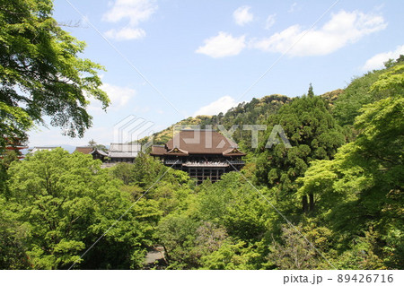 若葉薫る京都音羽山清水寺 若葉薫る京都音羽山清水寺 89426716