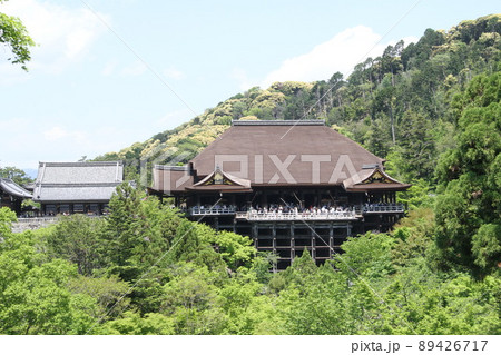 若葉薫る京都音羽山清水寺 若葉薫る京都音羽山清水寺 89426717