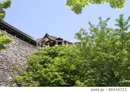 若葉薫る京都音羽山清水寺 若葉薫る京都音羽山清水寺 89426723